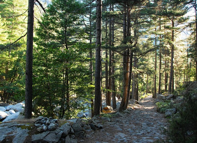 Corse- Région Vizzavona/Massif Oro/Vallée Manganello- Lacs d'Oro