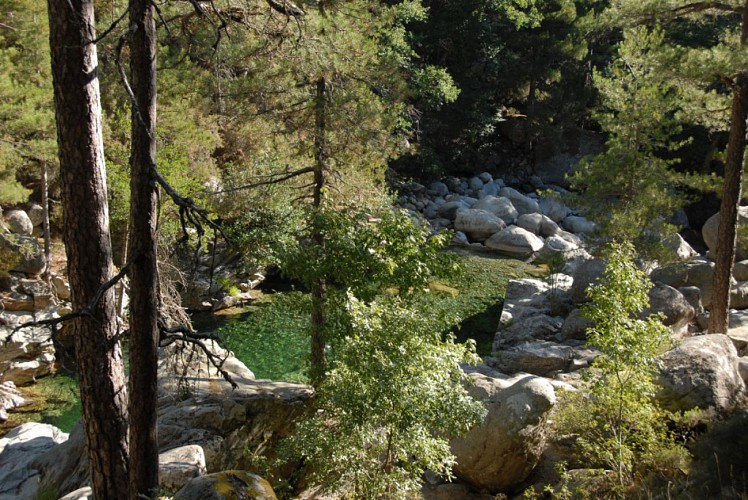 Corse- Région Vizzavona/Massif Oro/Vallée Manganello- Lacs d'Oro