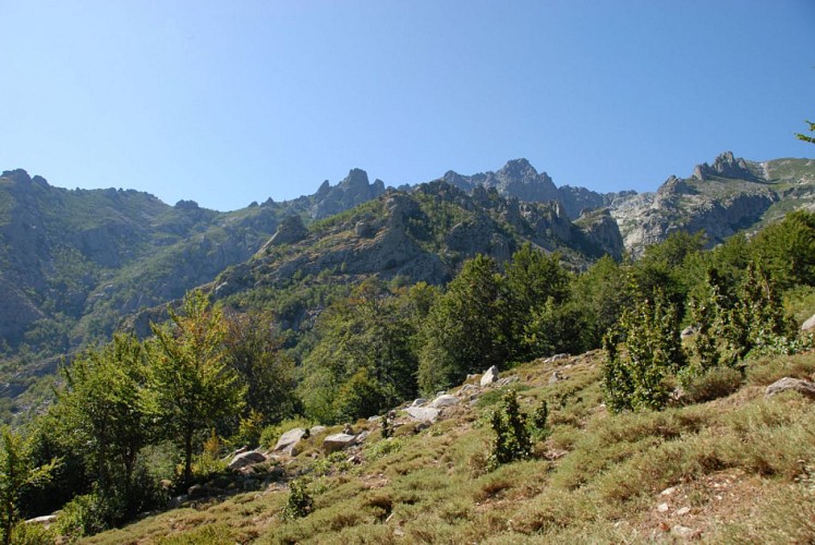 Corse- Région Vizzavona/Massif Oro/Vallée Manganello- Lacs d'Oro
