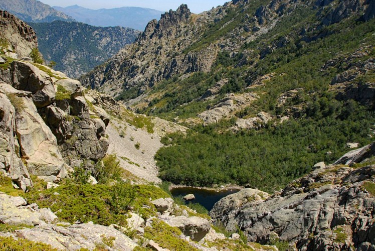 Corse- Région Vizzavona/Massif Oro/Vallée Manganello- Lacs d'Oro