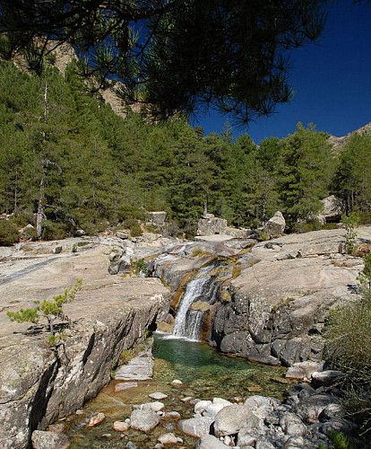 Corse- Région Vizzavona/Vallée Manganello- Boucle Canaglia- Ref. Petra Piana- Ref. Onda- Canaglia