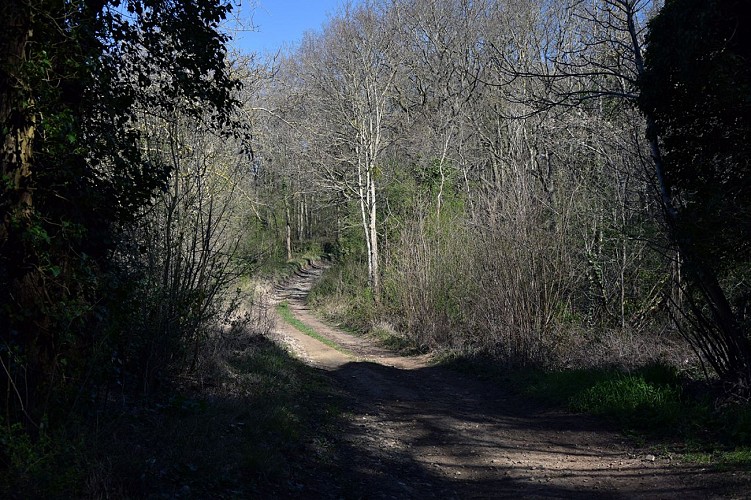 CINQUEUX Les Montilles ©CCPOH