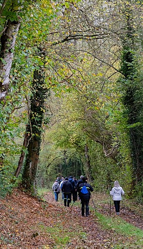 Randonnée historique_10.11.24_Vignemont