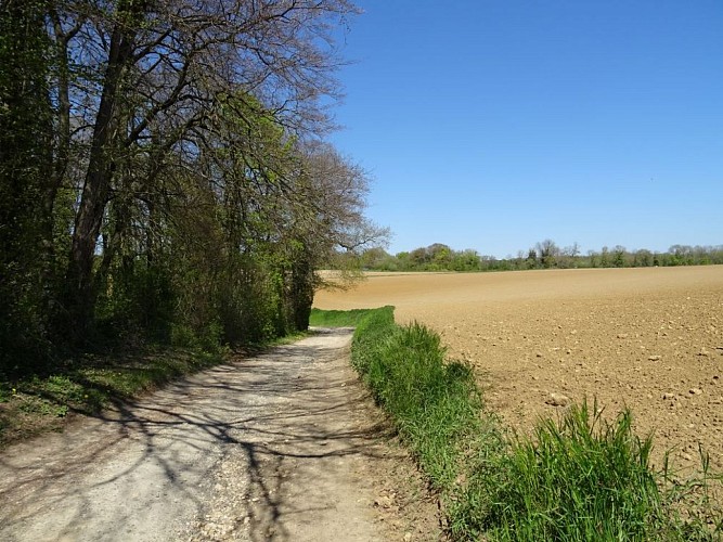 La montagne d'Hauette