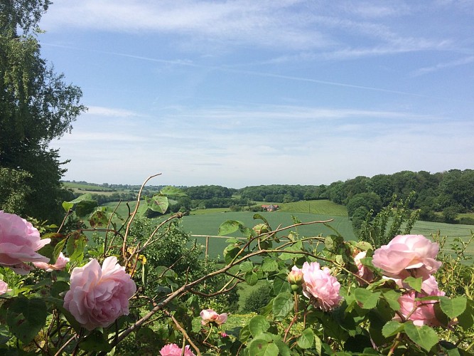 Paysage Picardie Verte