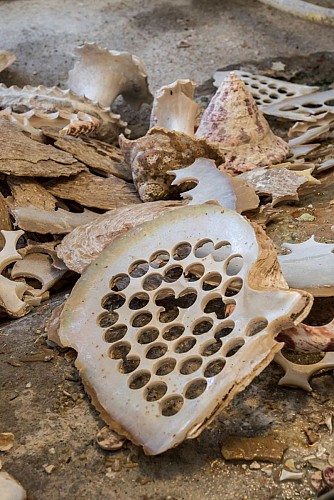 Musée de la nacre_Atelier du boutonnier_OiseTourisme