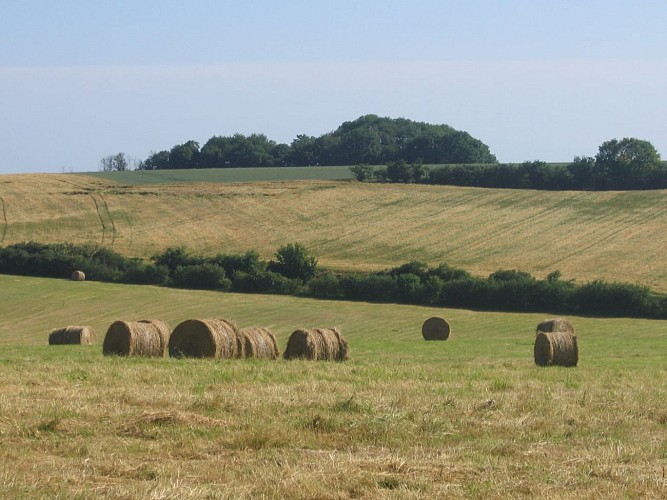 Campagne_2006©VisitBeauvais (1)