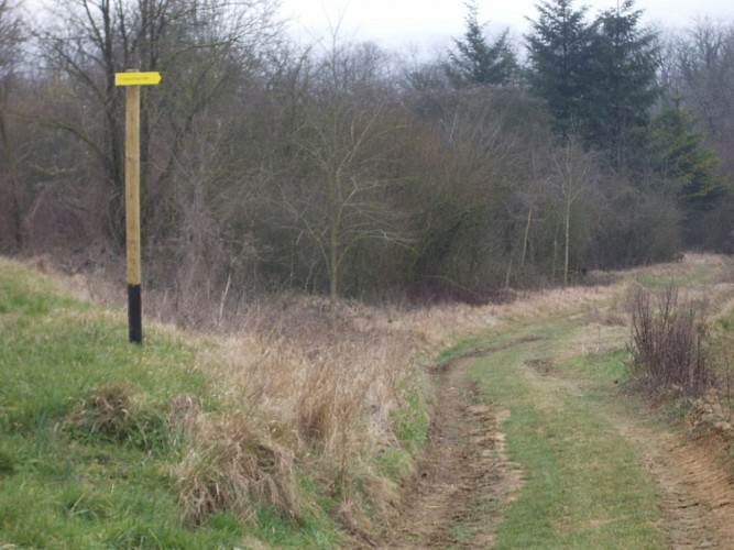 Circuit de la Fontaine Saillard