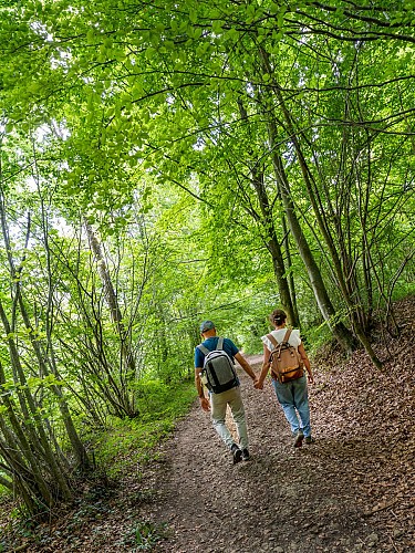 Élincourt-Sainte-Marguerite Base Nature_Oise Tourisme 013 © 2024_ Gilles Piel