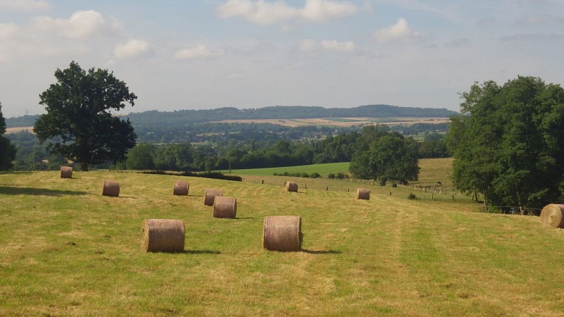 Paysage Pays de Bray