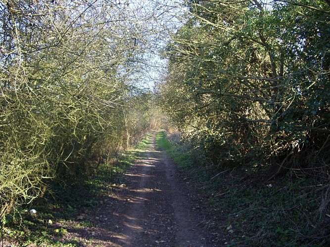 Voies_Romaines_Paillart