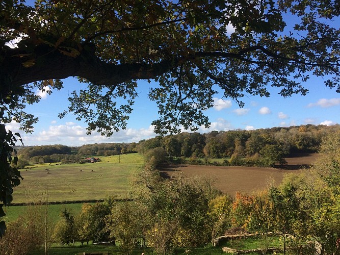 Paysage Picardie Verte