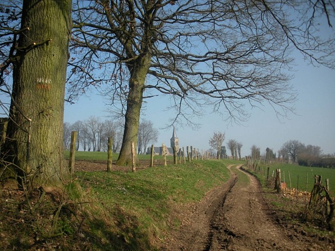 Forêt de Thelle