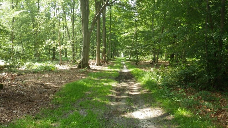 FD Compiegne Le voliard