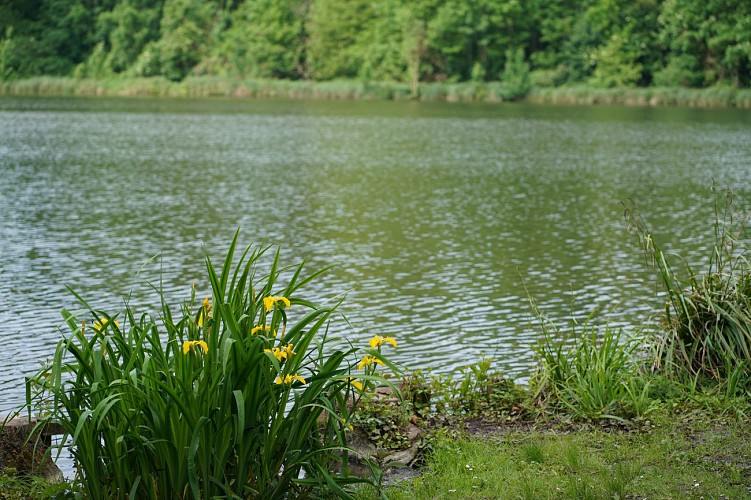 Étang de Saint-Pierre