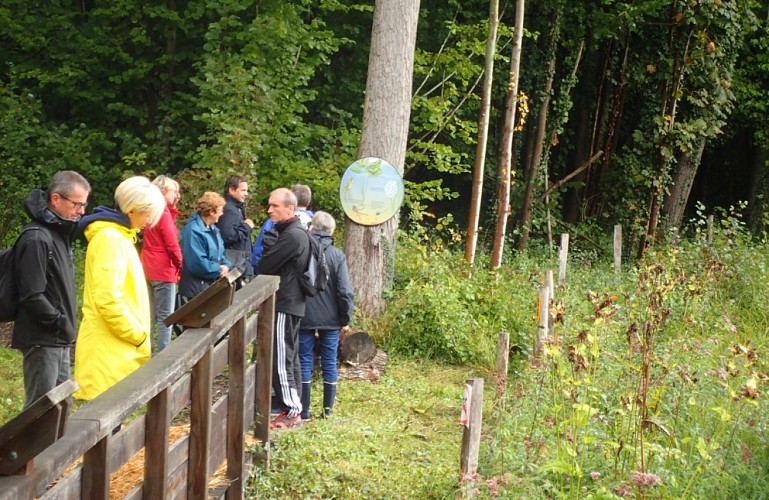 marais_sacy_station_mare_forestiere