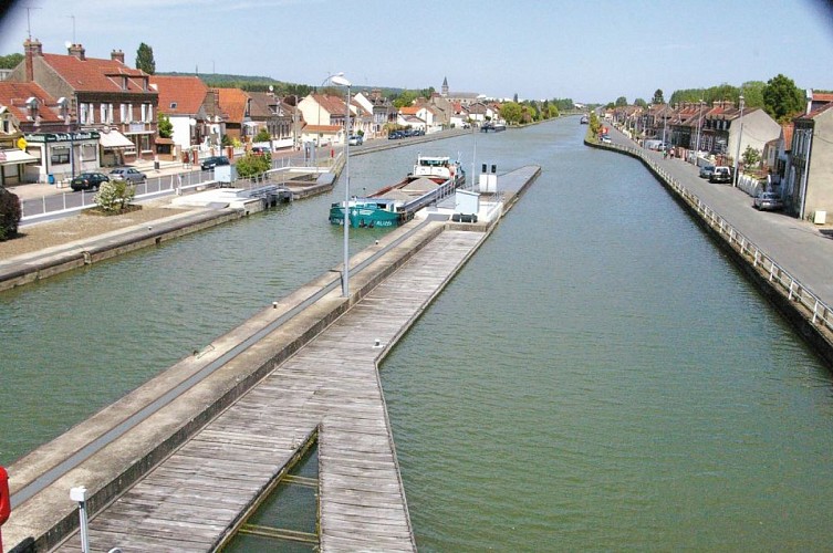 Les becs dans l'eau... ornitho-fluvial