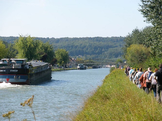 Les becs dans l'eau... ornitho-fluvial