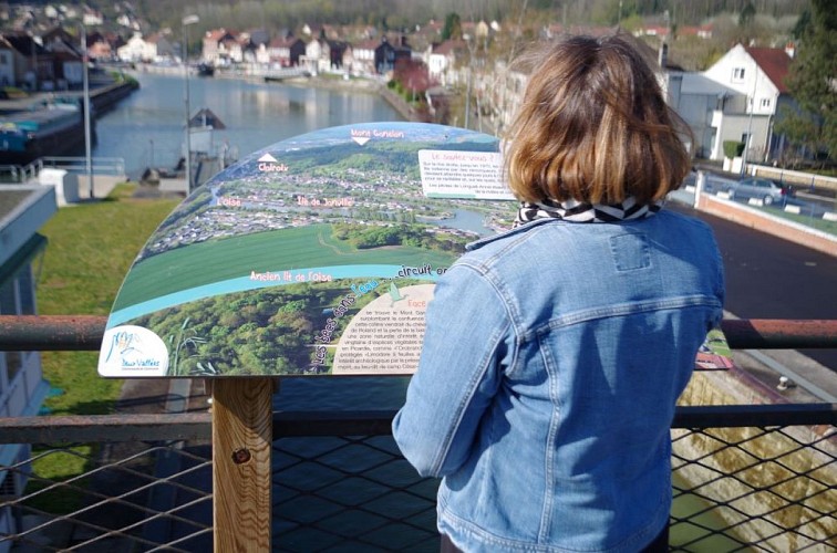 Les becs dans l'eau... ornitho-fluvial