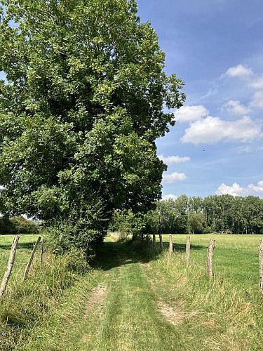 La Source de la Noye