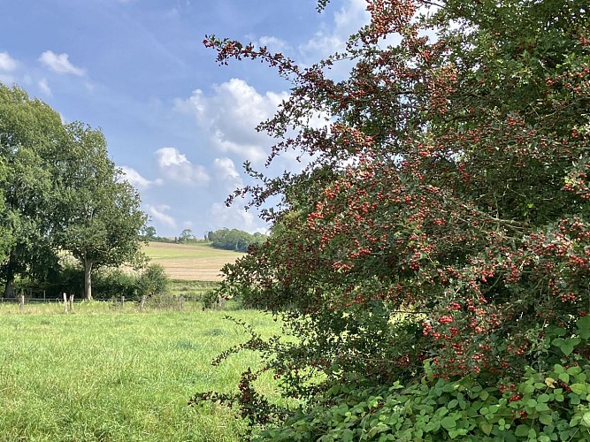 La Source de la Noye