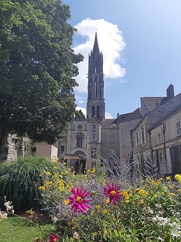 Parc du château royal