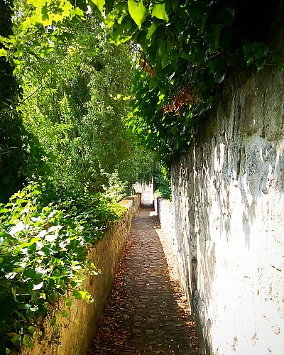 Rempart médiévale passage des carmes