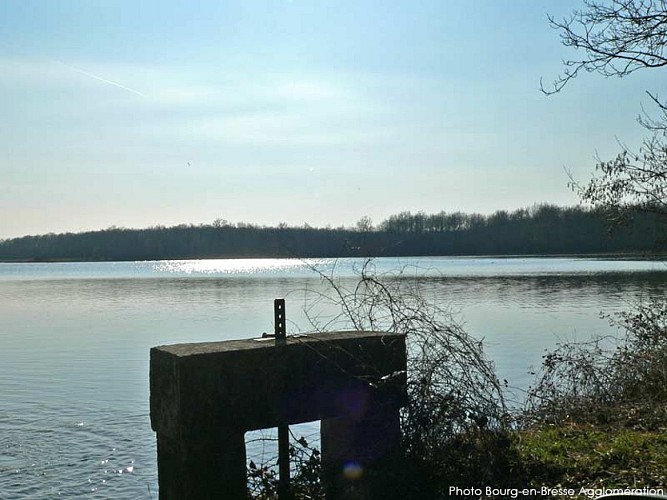 Saint-Andre-Vieux-Jonc_credit-Bourg-en-Bresse-Agglomeration-lt