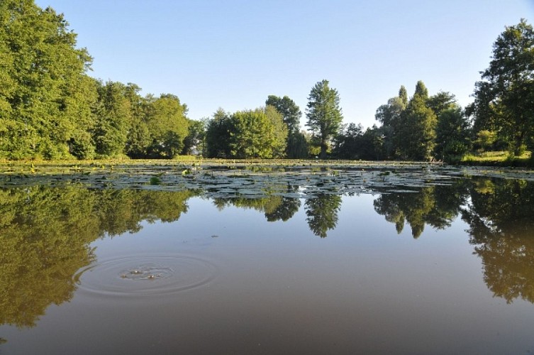 Plan d'eau Dompierre_Crédit C.Thieux (3)