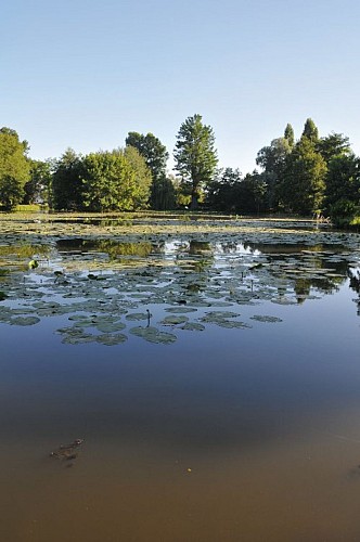 Plan d'eau Dompierre_Crédit C.Thieux (2)