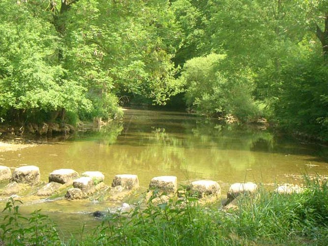 Chavuissiat le petit, Corcelles et le bois vert