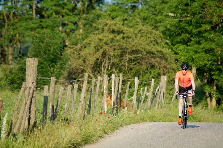 Boucle cyclable F1 : rendez-vous au château à vélo : Saint-Jodard / Château de la Roche