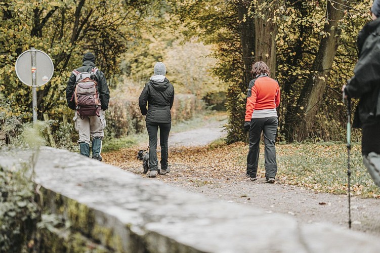 Grande Traversée de la Forêt du Pays de Chimay - Forges - Olloy-sur-Viroin
