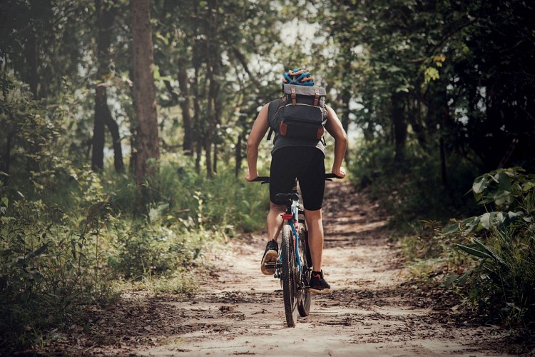 Cyclist On Sunny Day.Bike Adventure Travel Photo