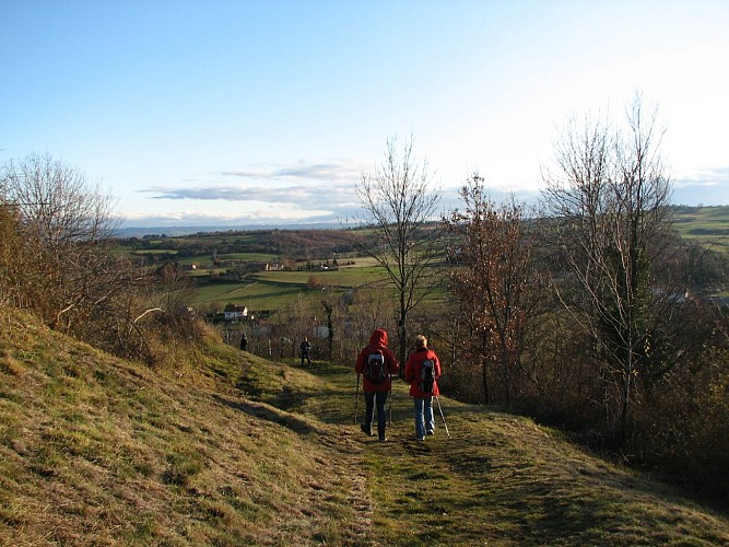 Sentier de Monsupt - La Loire à pied