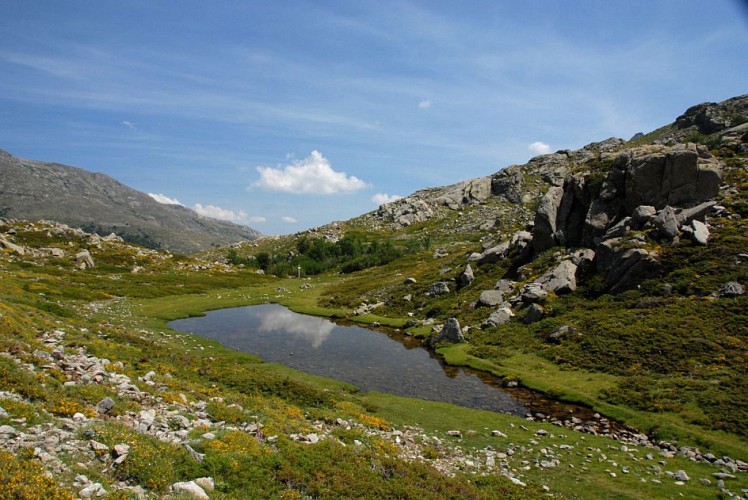 Corse- Région Cinarca/Pianu Campotile- Lac de Sorbi par lac de Creno [Juillet 2010]