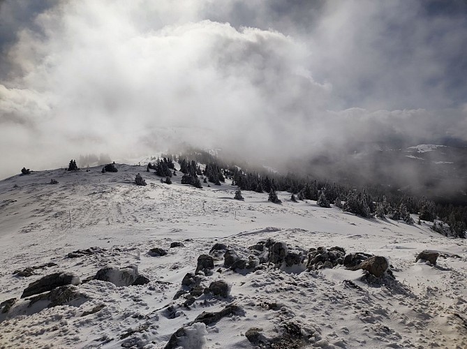 Schneeschuhpfad: von La Catheline bis Crêt de la Neige_Lélex