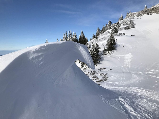 Schneeschuhpfad: von La Catheline bis Crêt de la Neige