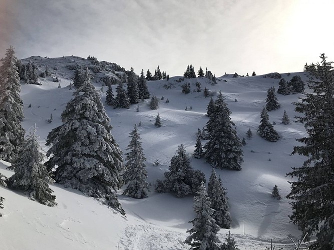 Snowshoes trail: from Catheline to Crêt de la Neige