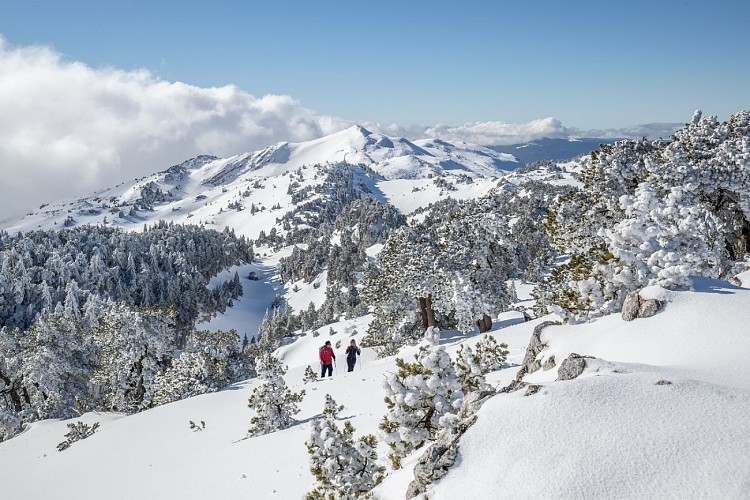 Sentier raquette : de la Catheline au Crêt de la Neige