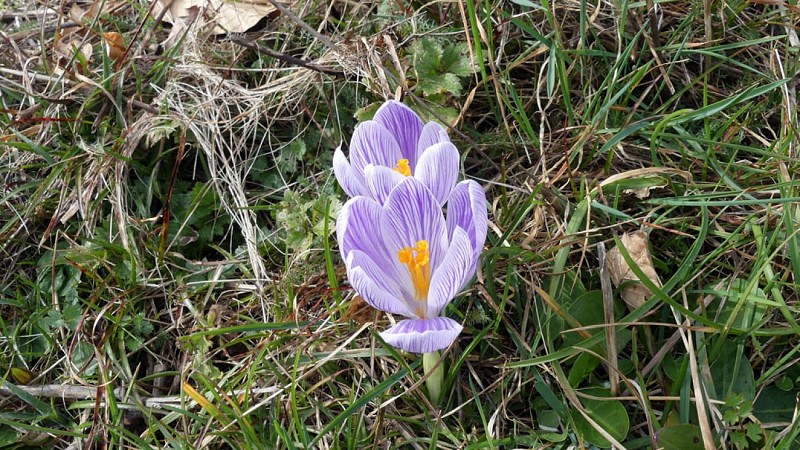 Chamberet - Meilhards