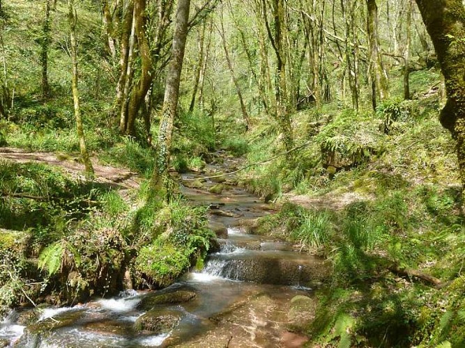 3-3-vallée-des-moulins-680x510_4