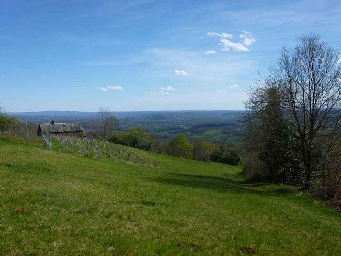 Paysage Collonges_9