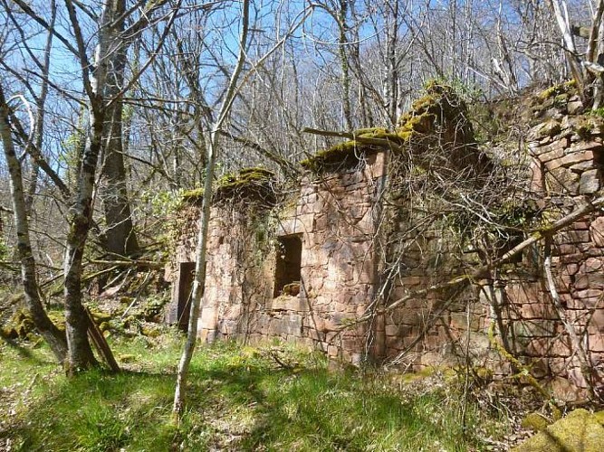 ferme tailleur de pierres 4-1-maison-ruine-680x510_10