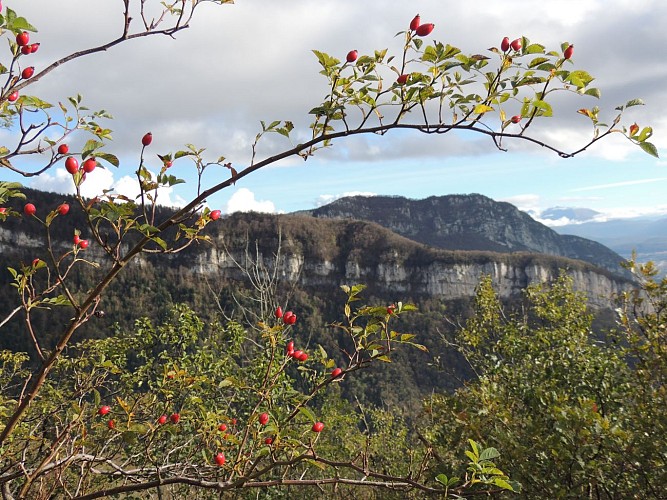 Tour de l'aiguille de Chalais Voreppe