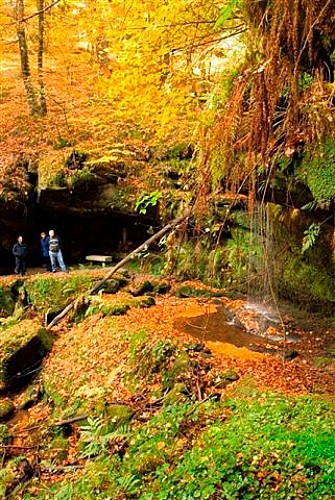 La vallée de l'Ourche