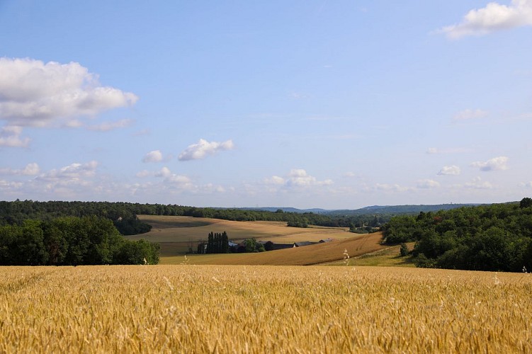 Vue sur la vallée de Bouville