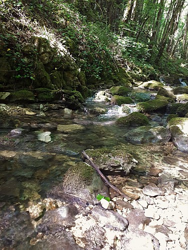 cascade de Luizet