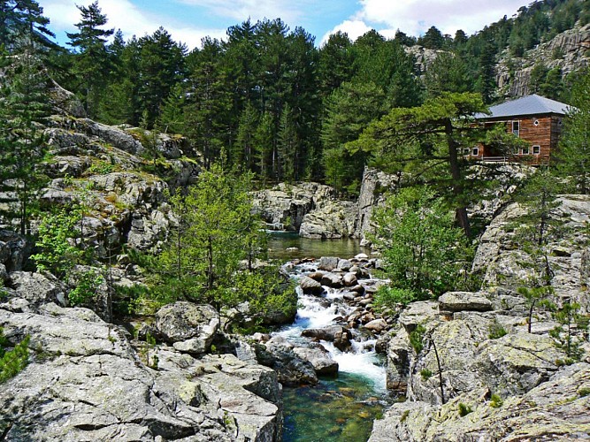Corse- Région Cortenais- Restonica-Plateau d'Also- Vallée Tavignano-Corte [mai 2007]