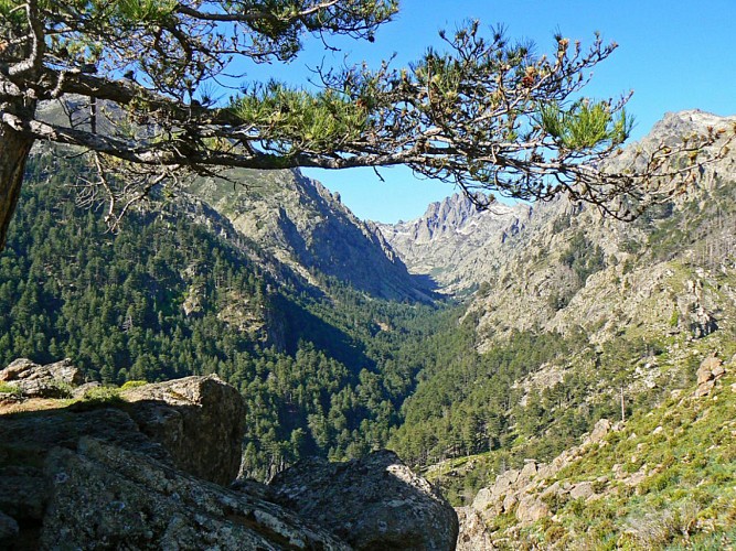 Corse- Région Cortenais- Restonica-Plateau d'Also- Vallée Tavignano-Corte [mai 2007]